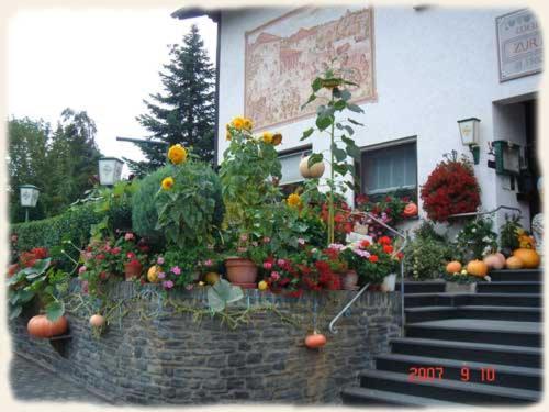 Gasthof Zur Romervilla Меринг Экстерьер фото